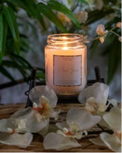 Load image into Gallery viewer, Plain Jane